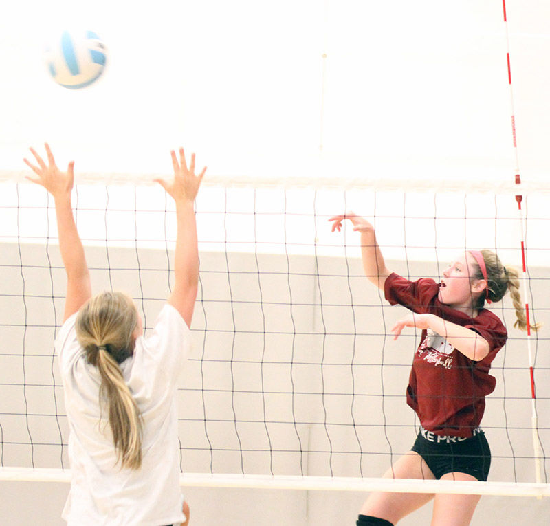 Wildcats hope to be on the mark